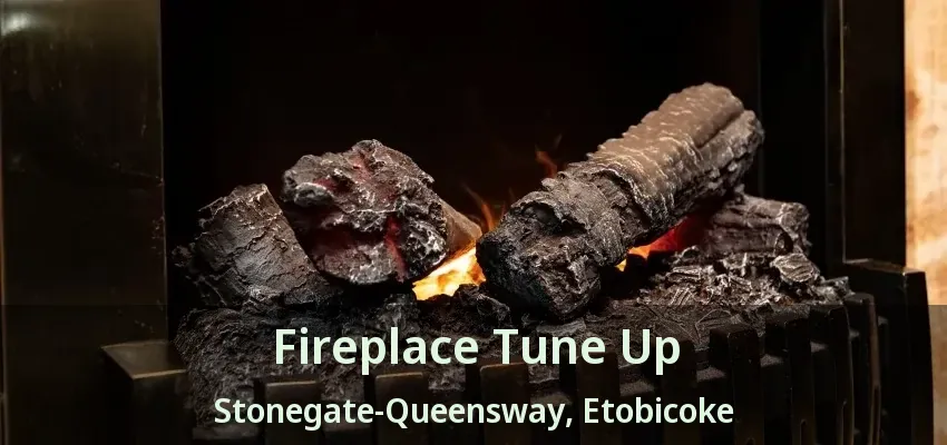 Fireplace Tune Up Stonegate-Queensway, Etobicoke - ON