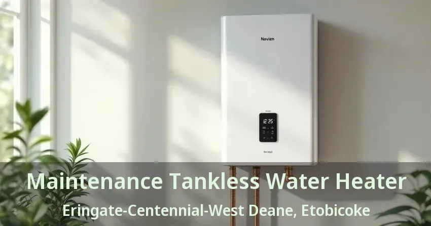 Maintenance Tankless Water Heater Eringate-Centennial-West Deane, Etobicoke - ON