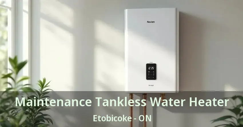 Maintenance Tankless Water Heater Etobicoke - ON Maintenance Tankless Water Heater Etobicoke - ON