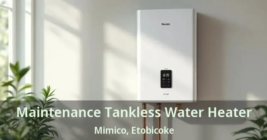 Maintenance Tankless Water Heater Mimico, Etobicoke - ON Maintenance Tankless Water Heater Mimico, Etobicoke - ON