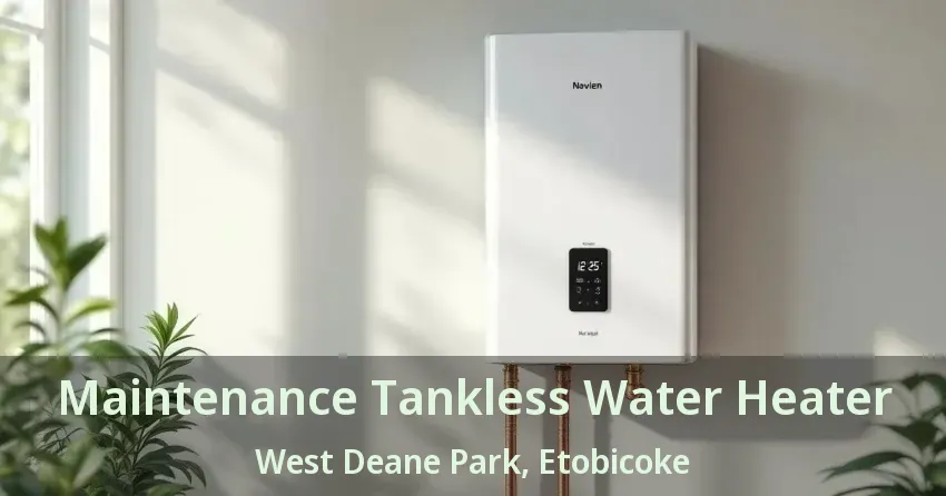 Maintenance Tankless Water Heater West Deane Park, Etobicoke - ON Maintenance Tankless Water Heater West Deane Park, Etobicoke - ON