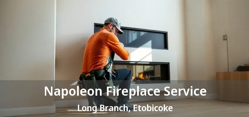 Napoleon Fireplace Service Long Branch, Etobicoke - ON