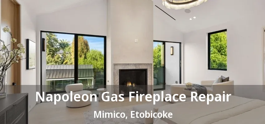 Napoleon Gas Fireplace Repair Mimico, Etobicoke - ON Napoleon Gas Fireplace Repair Mimico, Etobicoke - ON