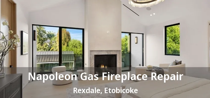 Napoleon Gas Fireplace Repair Rexdale, Etobicoke - ON Napoleon Gas Fireplace Repair Rexdale, Etobicoke - ON