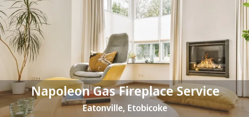 Napoleon Gas Fireplace Service Eatonville, Etobicoke - ON Napoleon Gas Fireplace Service Eatonville, Etobicoke - ON