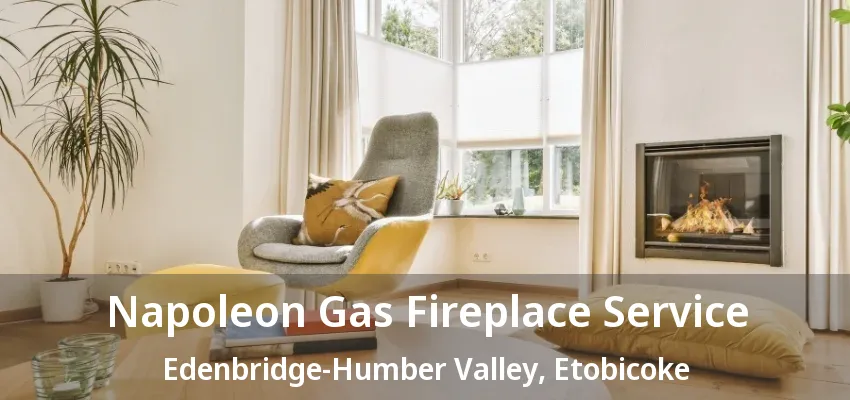 Napoleon Gas Fireplace Service Edenbridge-Humber Valley, Etobicoke - ON Napoleon Gas Fireplace Service Edenbridge-Humber Valley, Etobicoke - ON