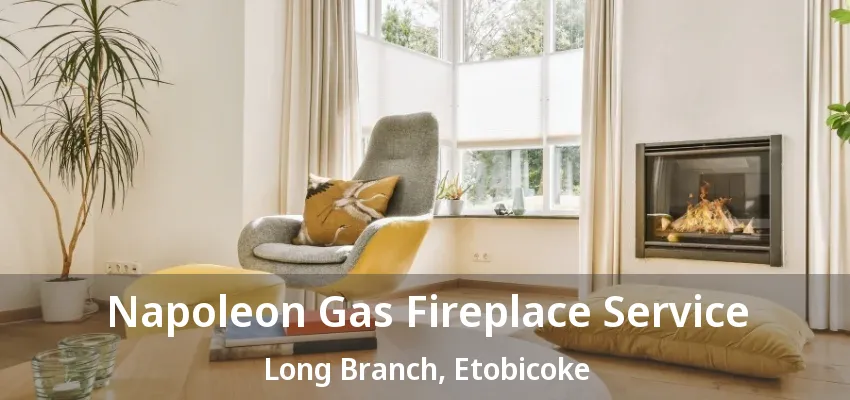 Napoleon Gas Fireplace Service Long Branch, Etobicoke - ON