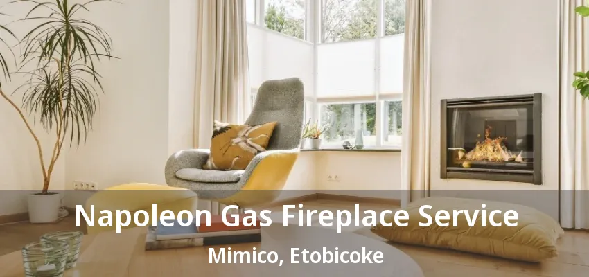 Napoleon Gas Fireplace Service Mimico, Etobicoke - ON Napoleon Gas Fireplace Service Mimico, Etobicoke - ON