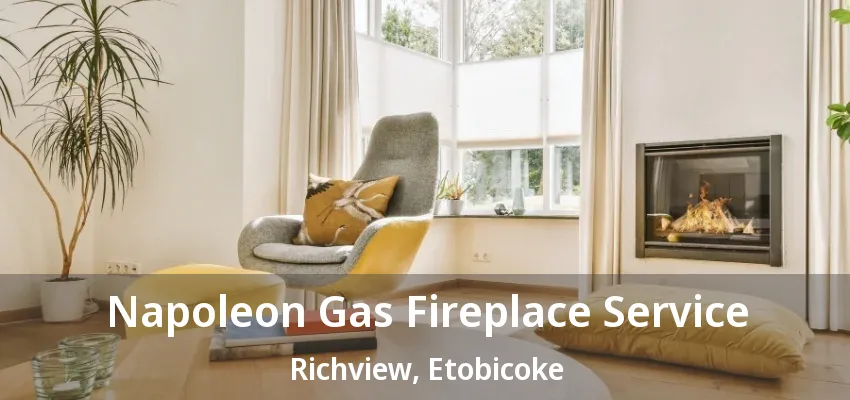 Napoleon Gas Fireplace Service Richview, Etobicoke - ON Napoleon Gas Fireplace Service Richview, Etobicoke - ON