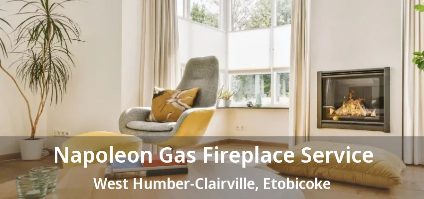 Napoleon Gas Fireplace Service West Humber-Clairville, Etobicoke - ON Napoleon Gas Fireplace Service West Humber-Clairville, Etobicoke - ON