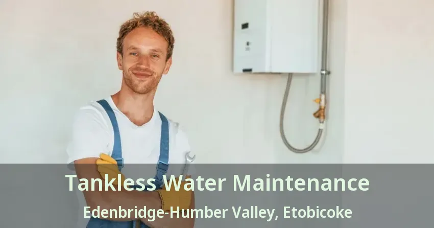 Tankless Water Maintenance Edenbridge-Humber Valley, Etobicoke - ON Tankless Water Maintenance Edenbridge-Humber Valley, Etobicoke - ON
