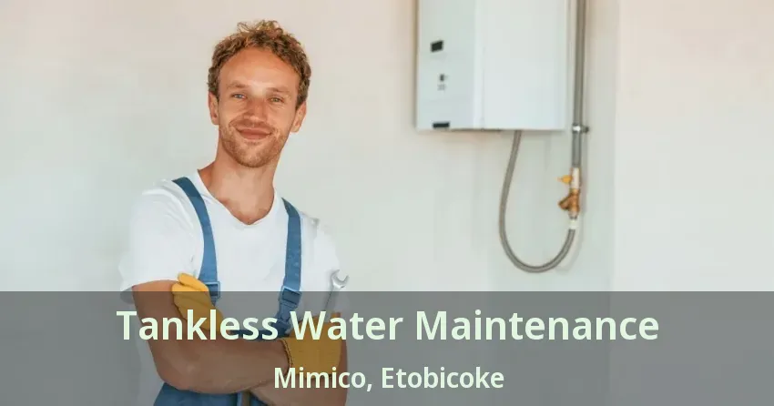 Tankless Water Maintenance Mimico, Etobicoke - ON