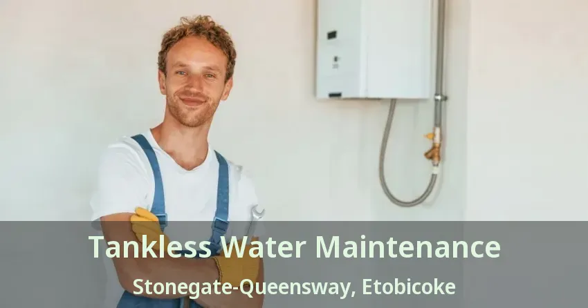 Tankless Water Maintenance Stonegate-Queensway, Etobicoke - ON Tankless Water Maintenance Stonegate-Queensway, Etobicoke - ON