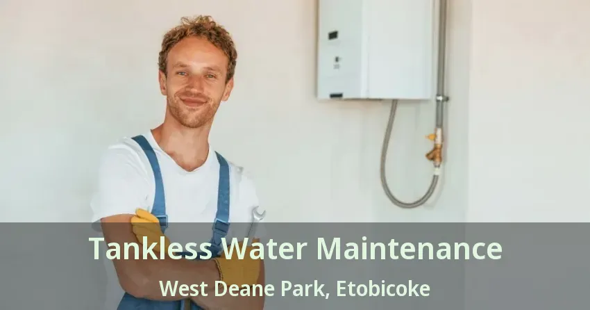 Tankless Water Maintenance West Deane Park, Etobicoke - ON Tankless Water Maintenance West Deane Park, Etobicoke - ON